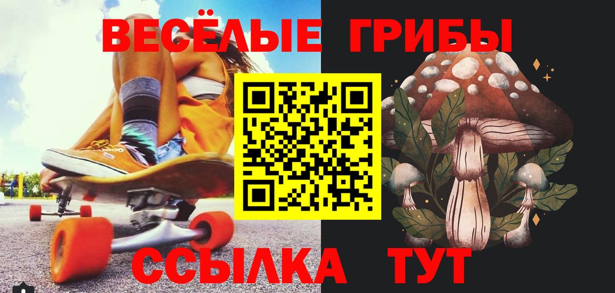 продажа наркотиков  Галлюциногенные грибы GOLDEN TEACHER  Вход с VPN  Серпухов 